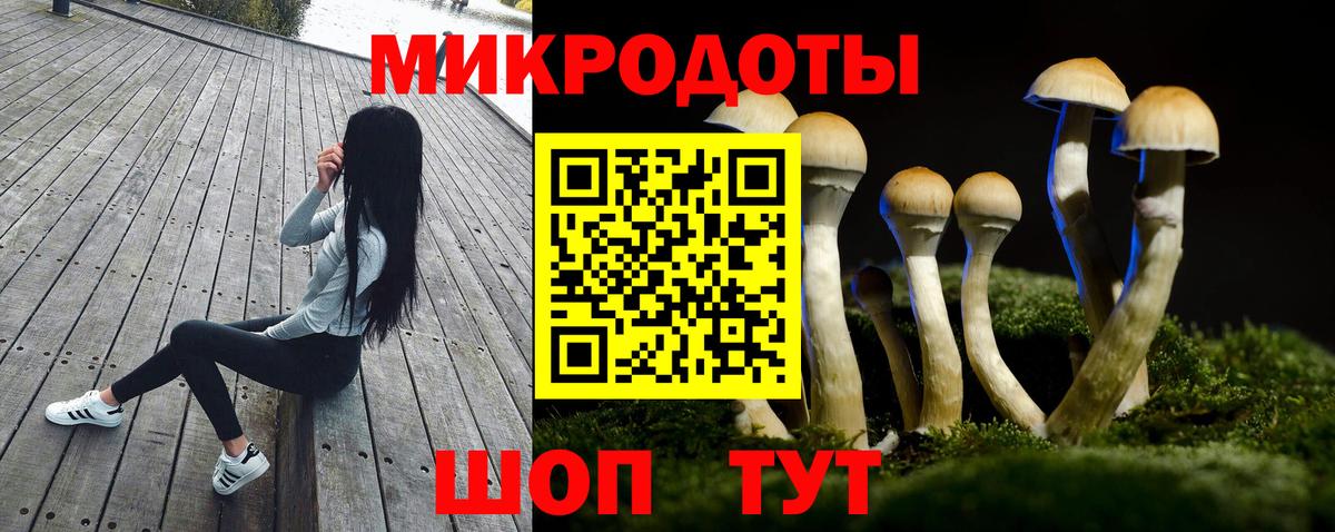Псилоцибиновые грибы MAGIC MUSHROOMS Ирбит