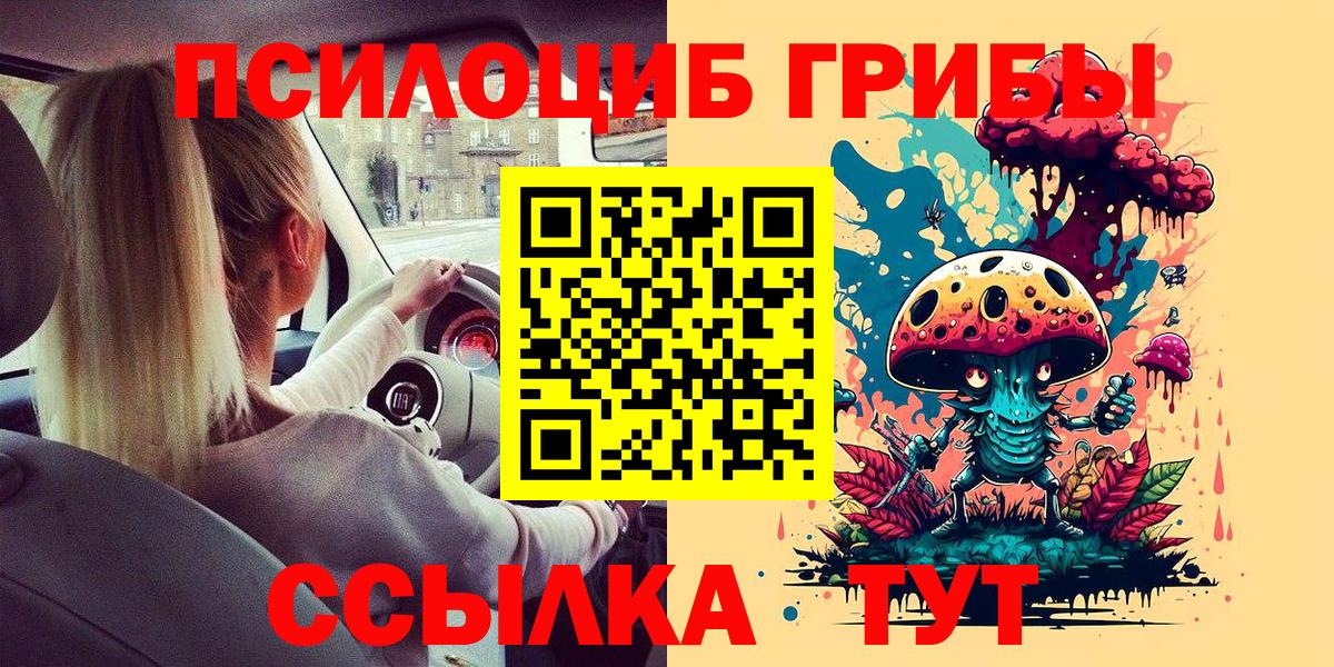 Галлюциногенные грибы прущие грибы  Вход с VPN  Ирбит 